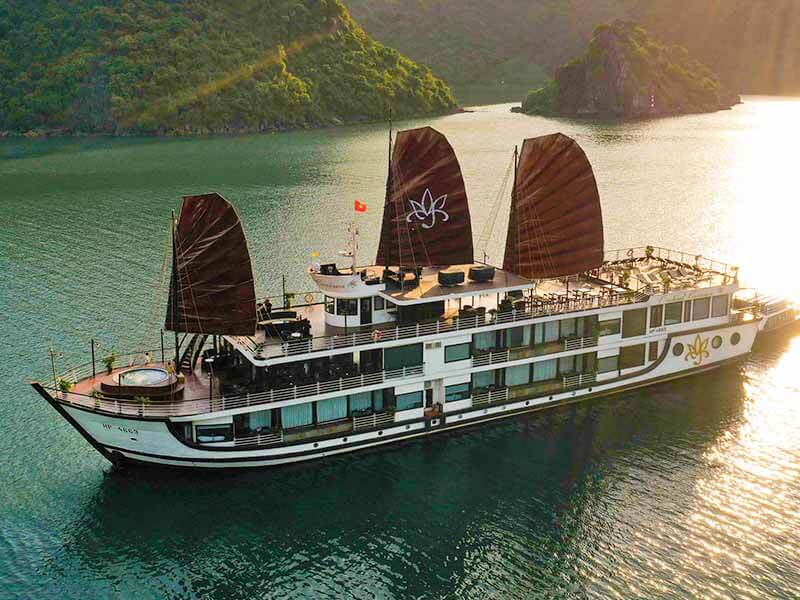 Orchid Cruises
